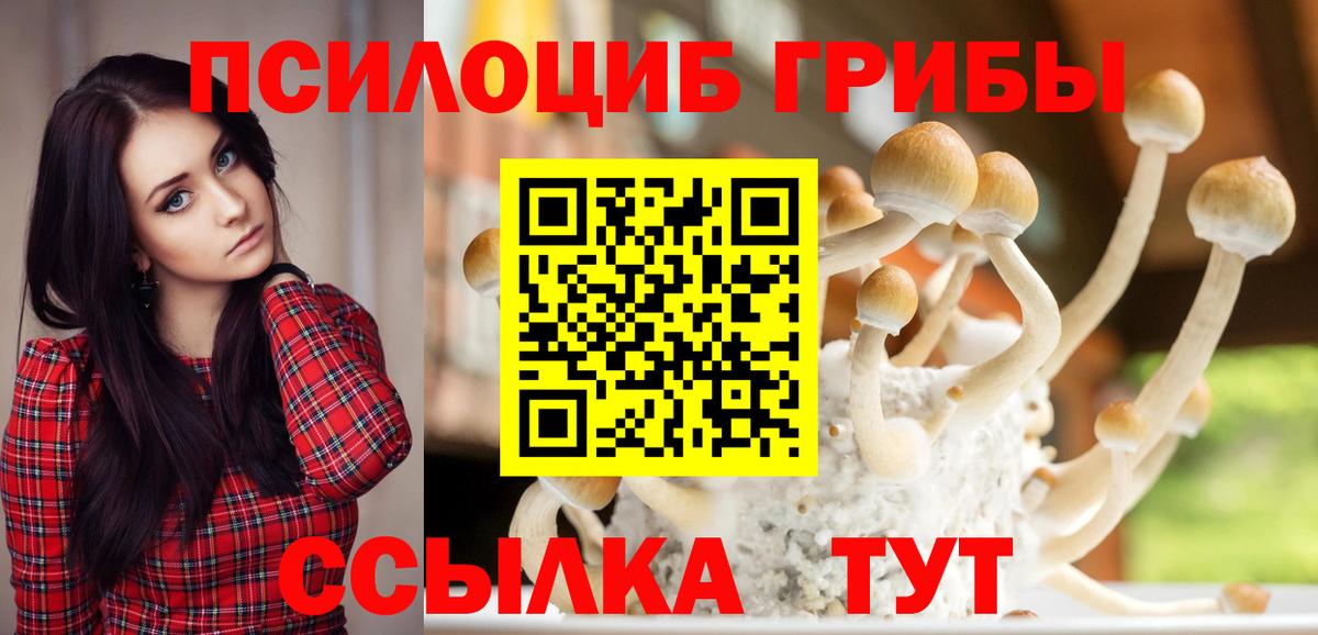 Галлюциногенные грибы Magic Shrooms Берёзовский
