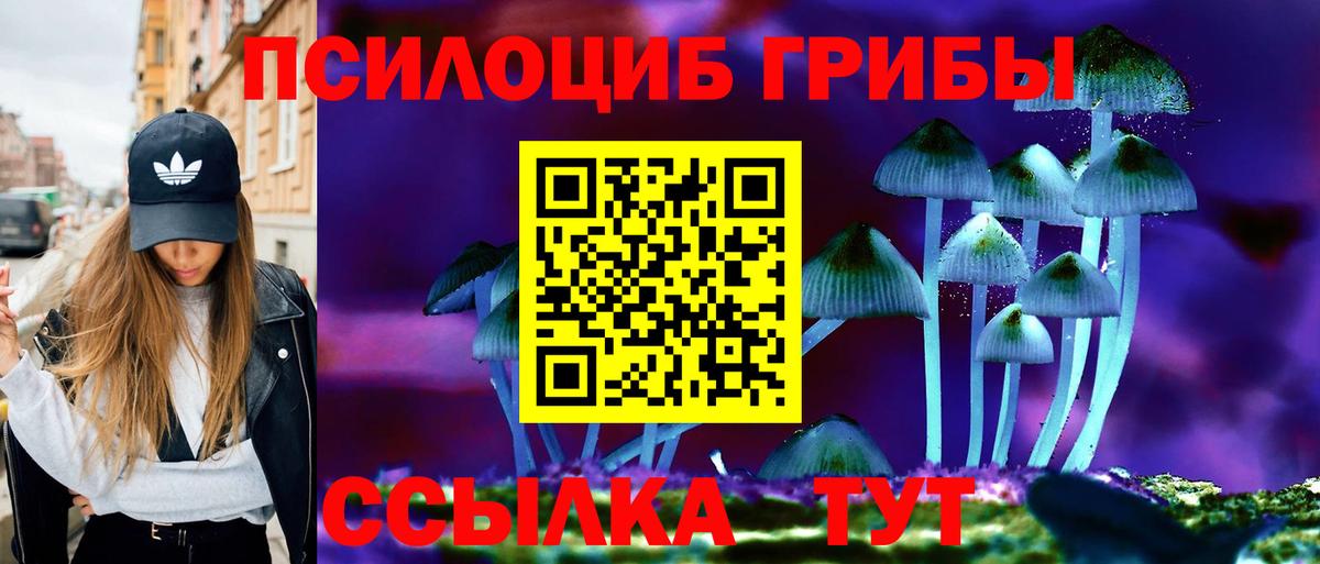 Галлюциногенные грибы Psilocybine cubensis  Вход с VPN  Берёзовский  Галлюциногенные грибы Cubensis 